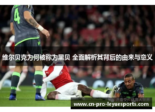 维尔贝克为何被称为黑贝 全面解析其背后的由来与意义