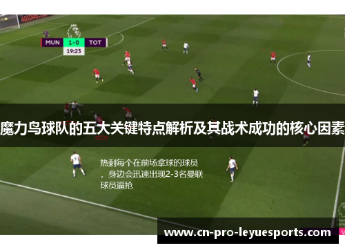 魔力鸟球队的五大关键特点解析及其战术成功的核心因素