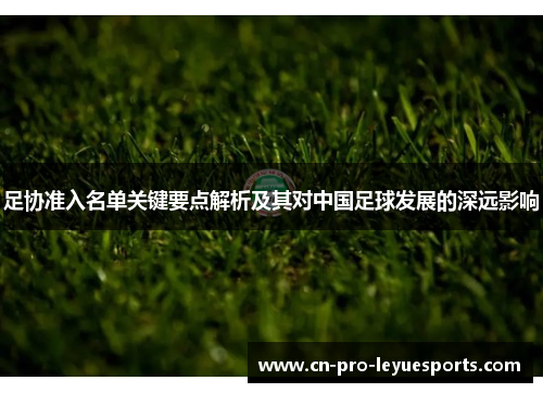 足协准入名单关键要点解析及其对中国足球发展的深远影响